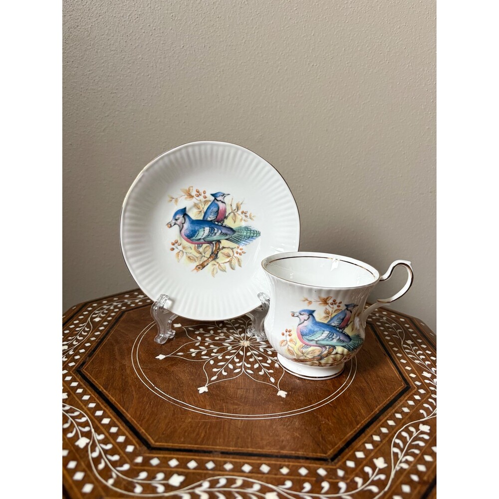 Vintage Queen’s Rosina Fine Bone China England Cup And Saucer Set ‘Birds Of Amer